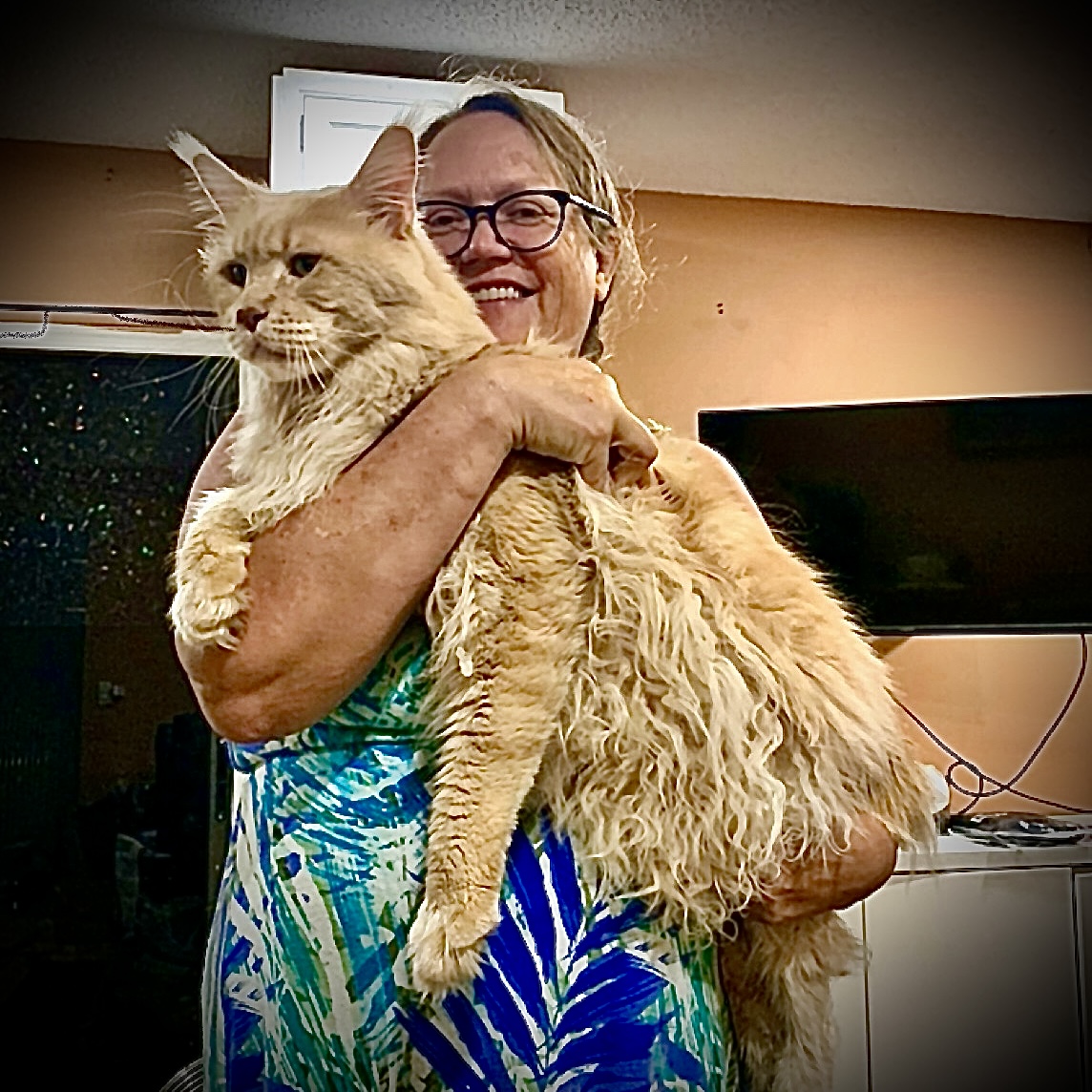 Lise Madson holding Esik, her 26 lb International Champion Maine Coon